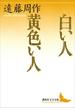 白い人　黄色い人(講談社文芸文庫)